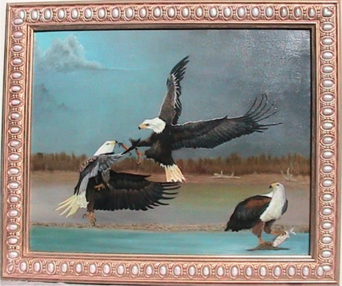 Fish Eagles
