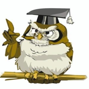 Owl teacher